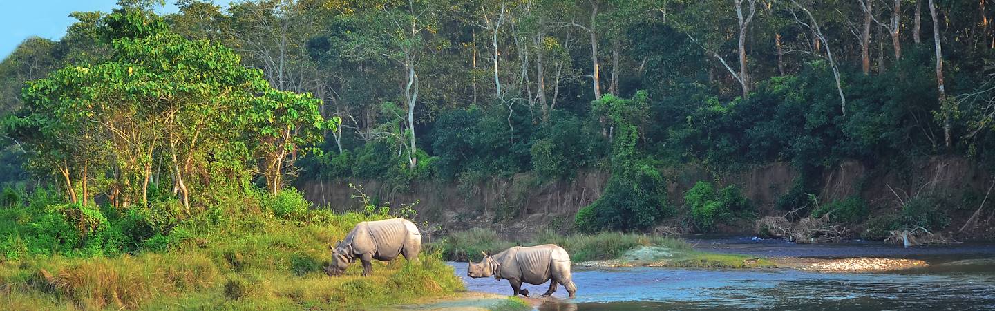Parc National de Chitwan - Népal