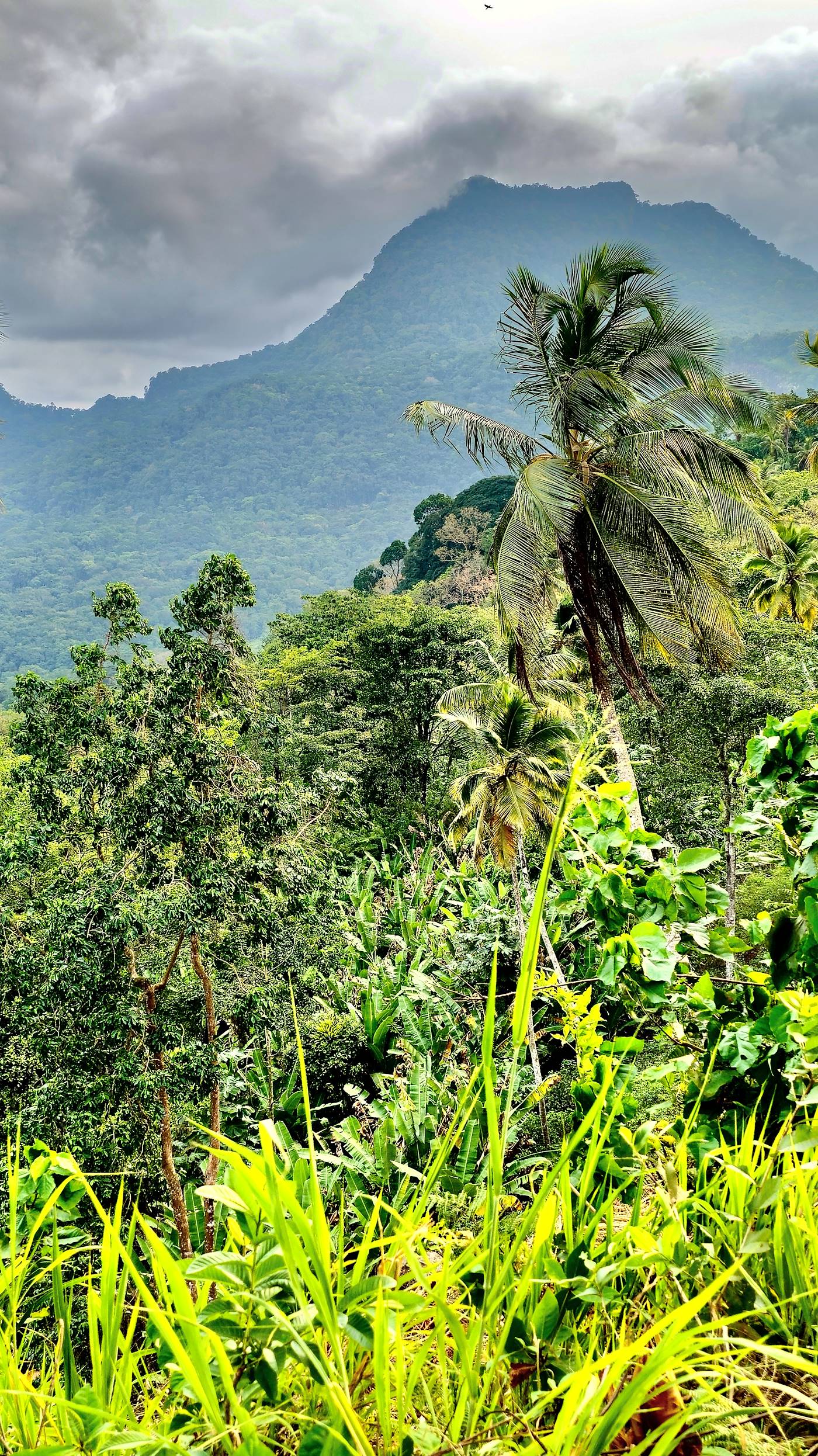Vue sur la côte de Principe et ses montagnes - Sao Tomé et Principe