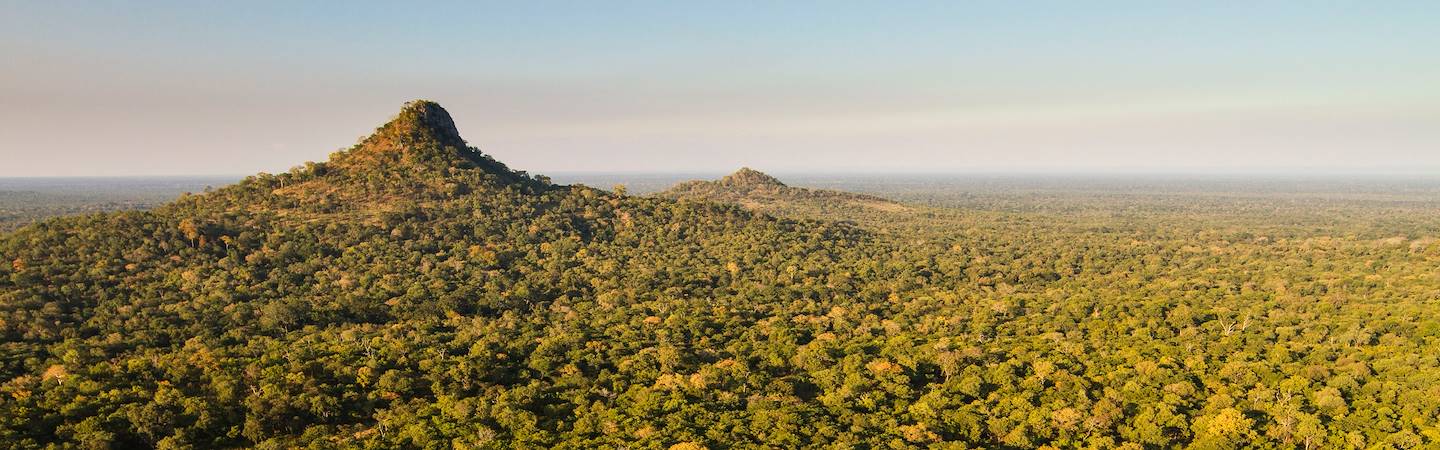 Parc national de Gorongosa - Mozambique