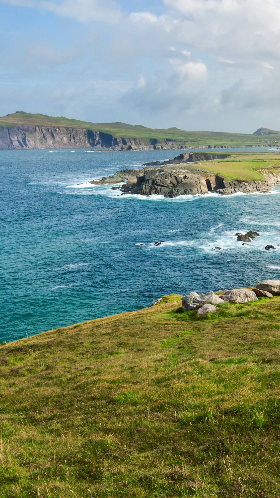 Péninsule de Dingle - Dingle - Comté de Kerry - Irlande