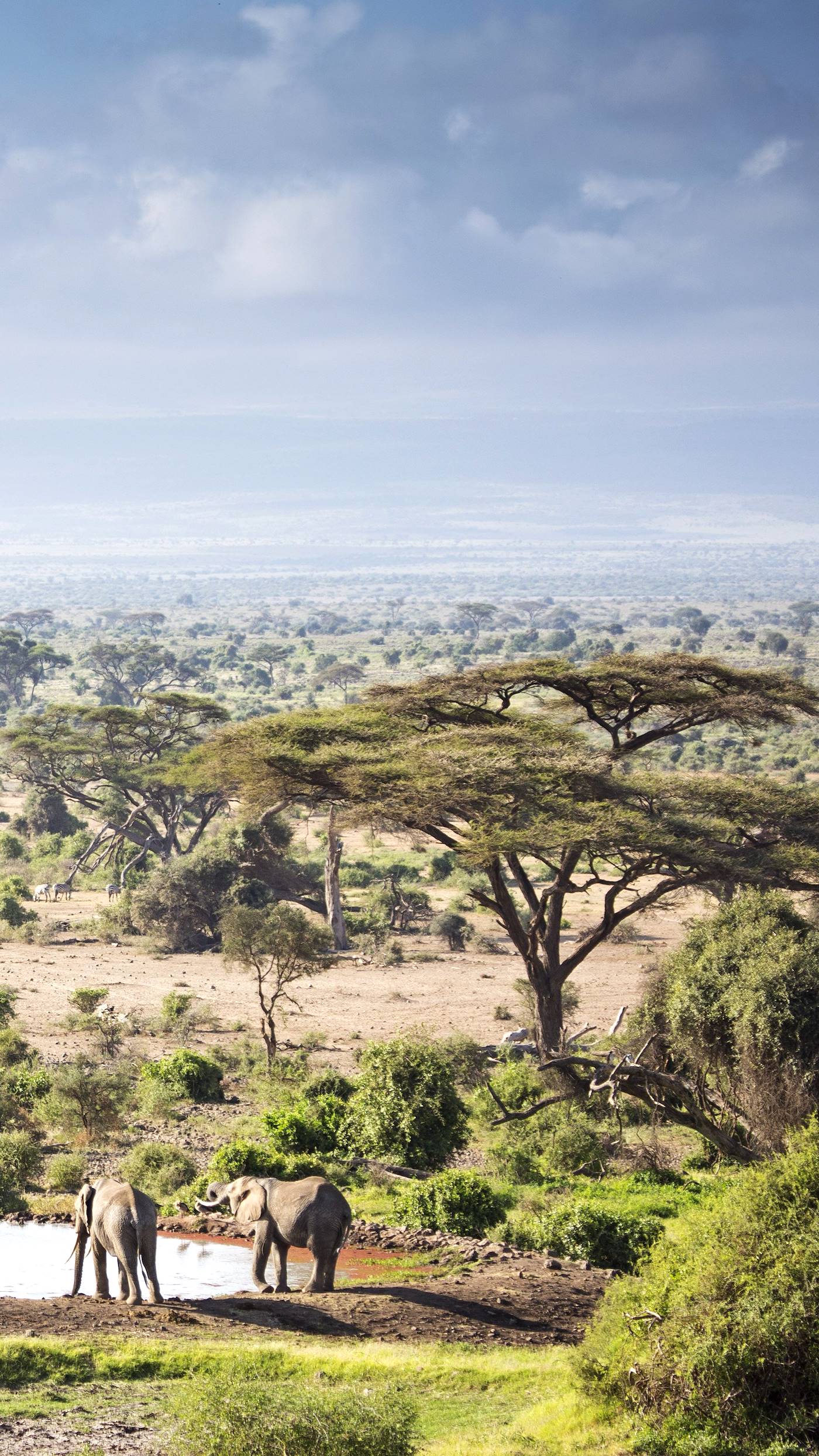 Parc national d'Amboseli - Kenya