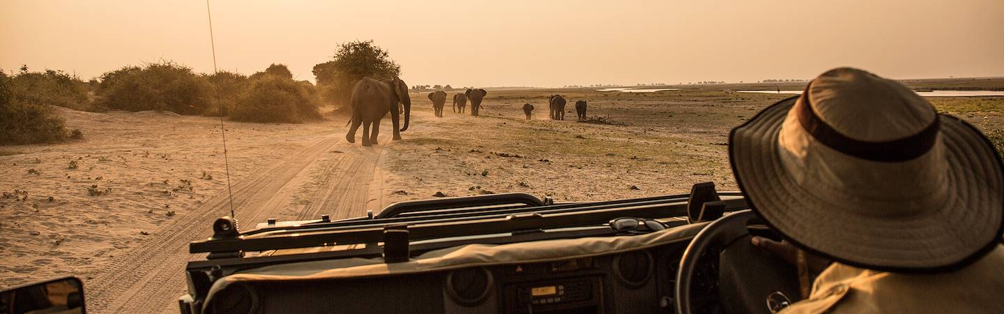 Safari au coucher du soleil dans le parc national de Chobe - Botswana