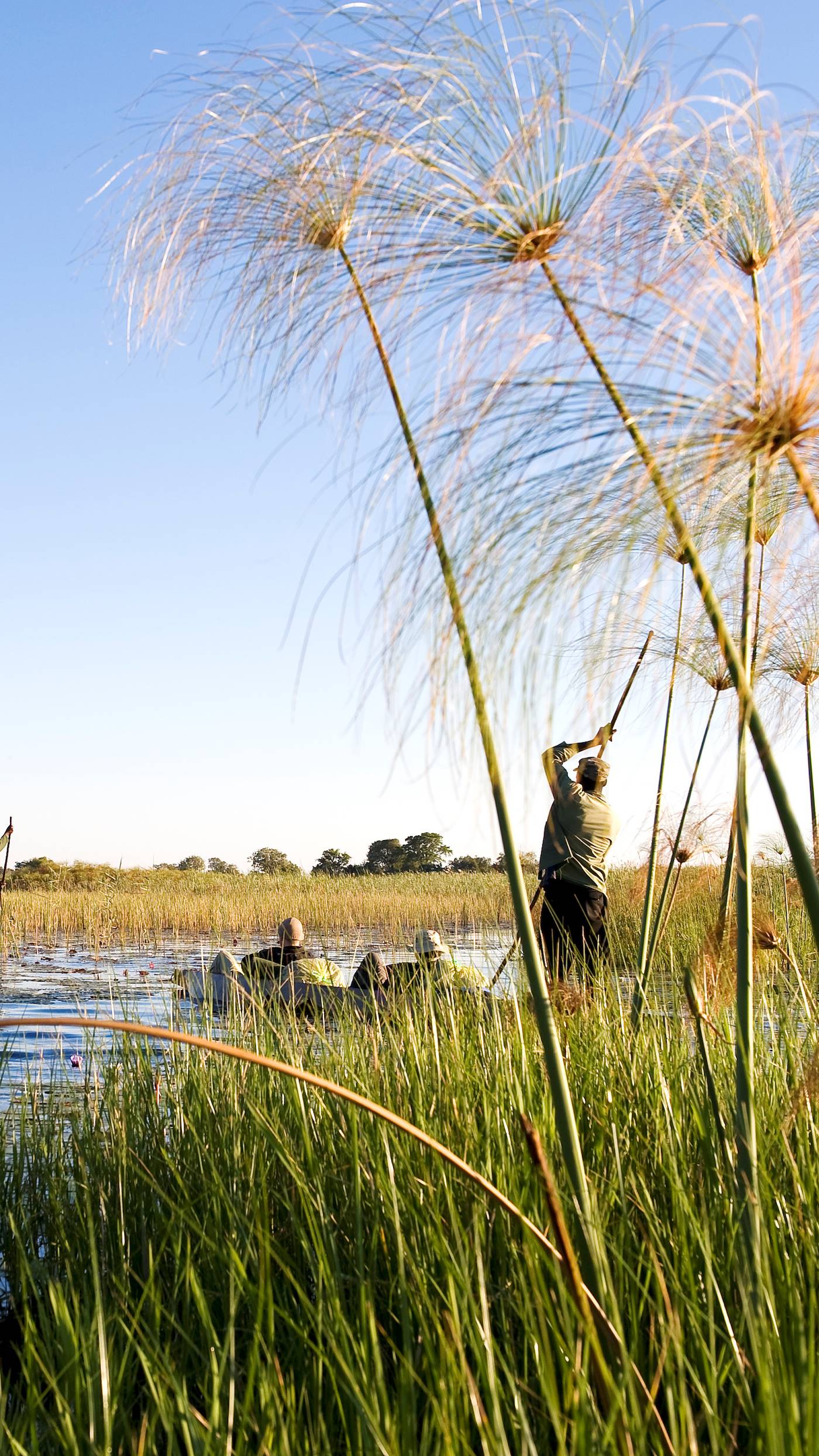 Traversée en Mokoro dans le delta de l'Okavango - Bostwana