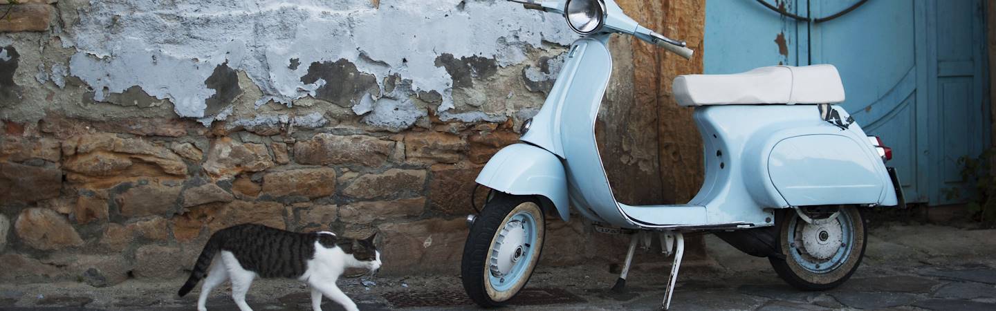 Chat curieux dans une rue - Italie
