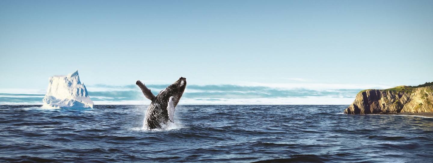 Parc national du Gros-Morne - Terre-Neuve-et-Labrador - Canada