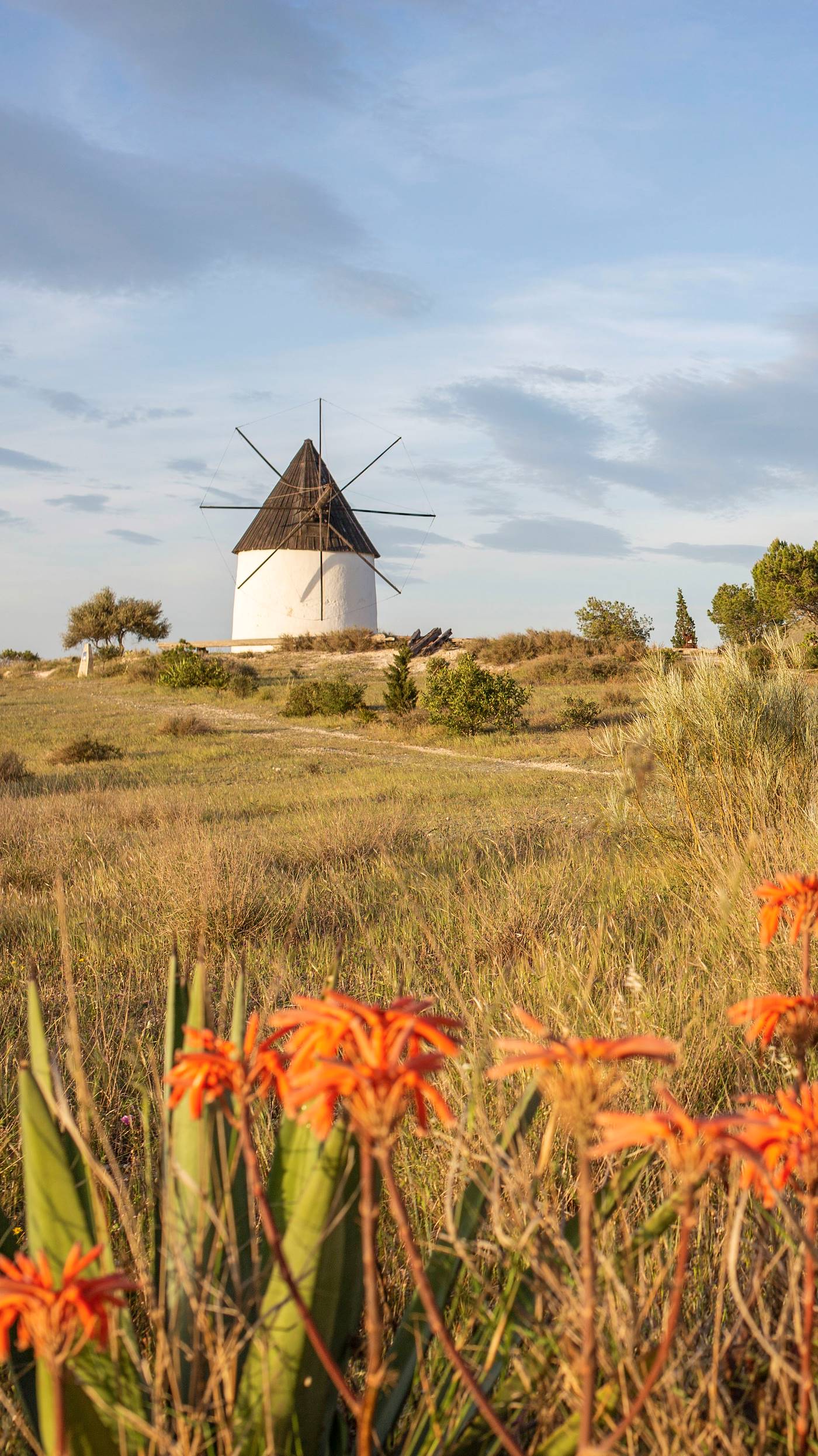 Parc naturel de Cabo de Gata Nijar - Andalousie - Espagne