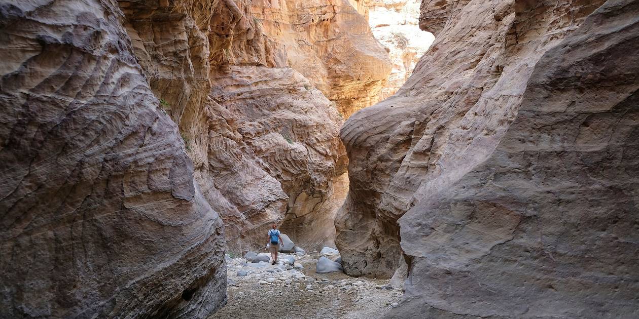 Canyon Wadi Ghuweir dans la Réserve de Dana - Jordanie