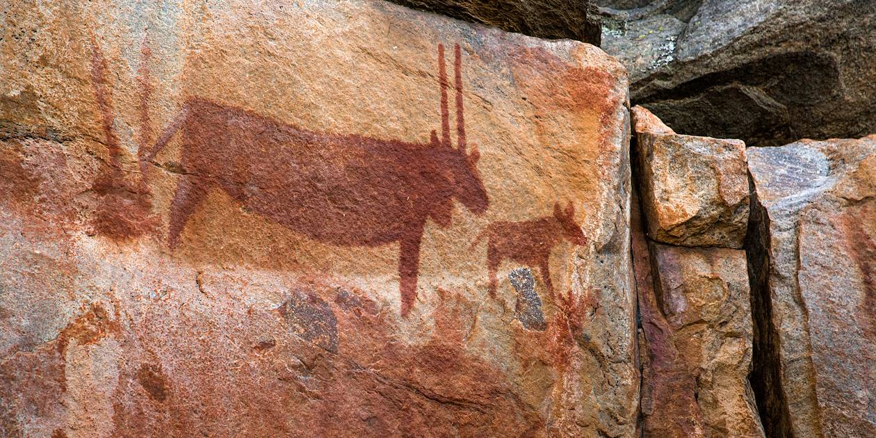 Peintures rupestres à Tsodilo Hills, site archéologique - Botswana 