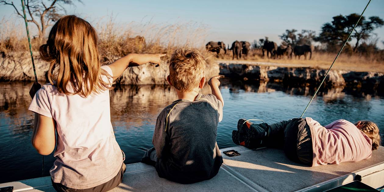 Observation des éléphants depuis un bateau - Botswana 