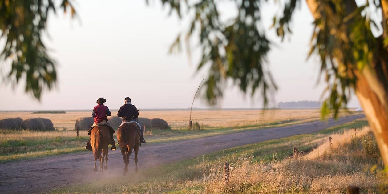 Gauchos dans une estancia de la province de Buenos Aires - Argentine