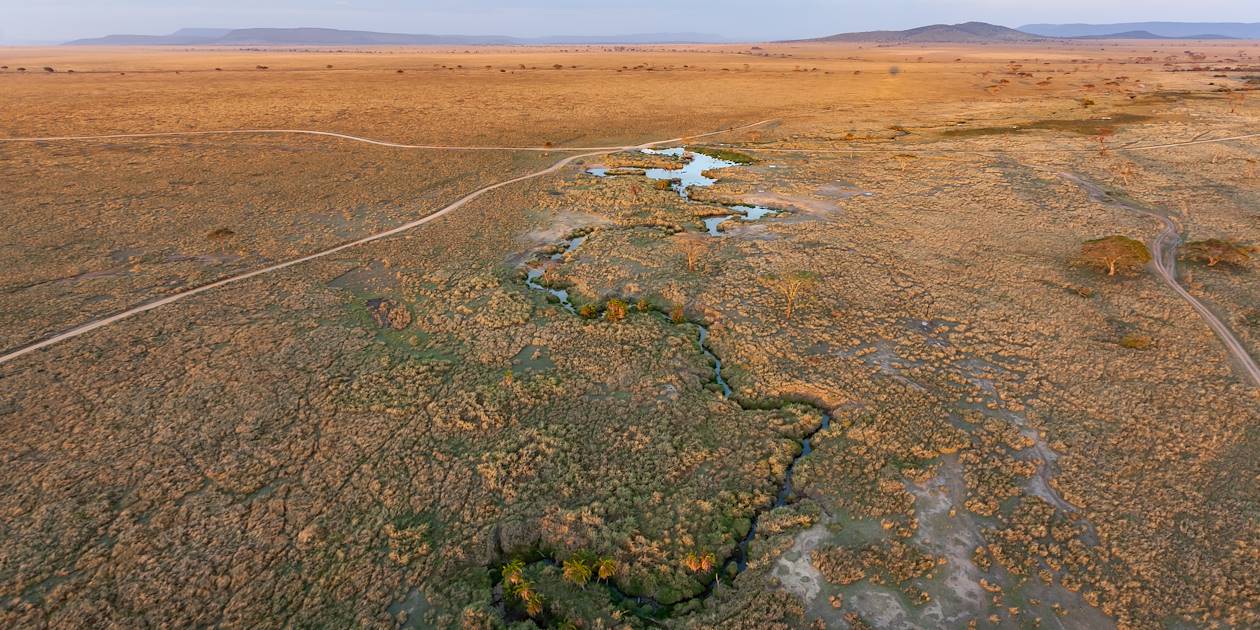 Serengeti vu du ciel, dans une montgolfière - Parc du Serengeti - Tanzanie