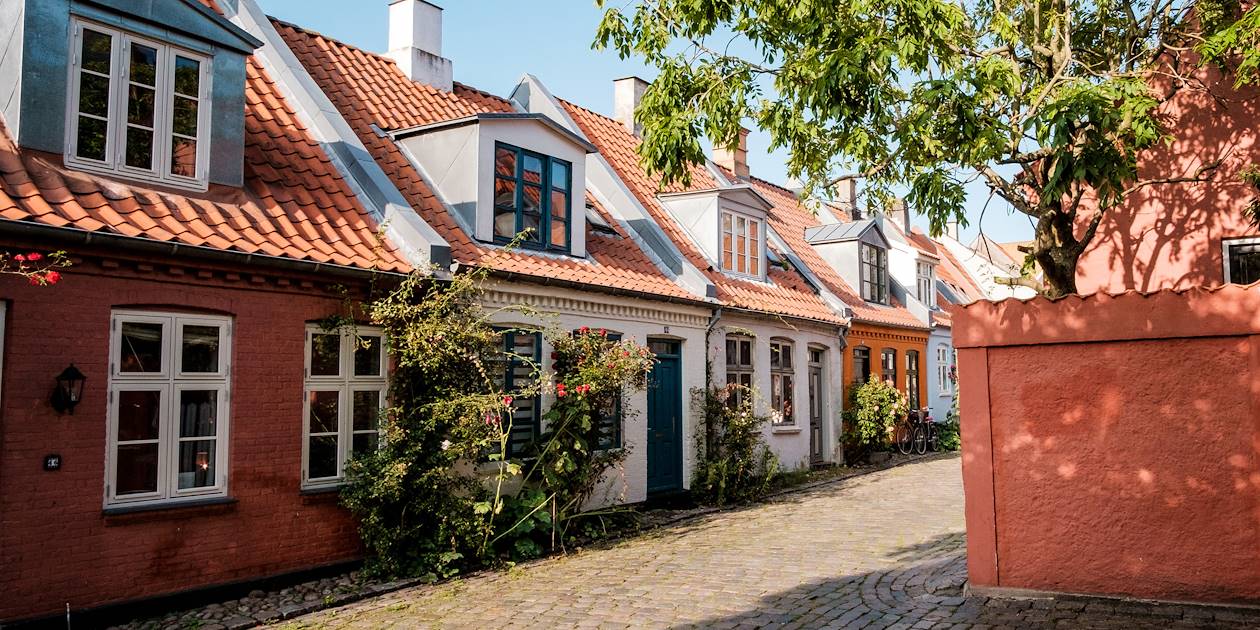 Maisons colorées et typiques de la rue Mollestien - Aarhus - Danemark