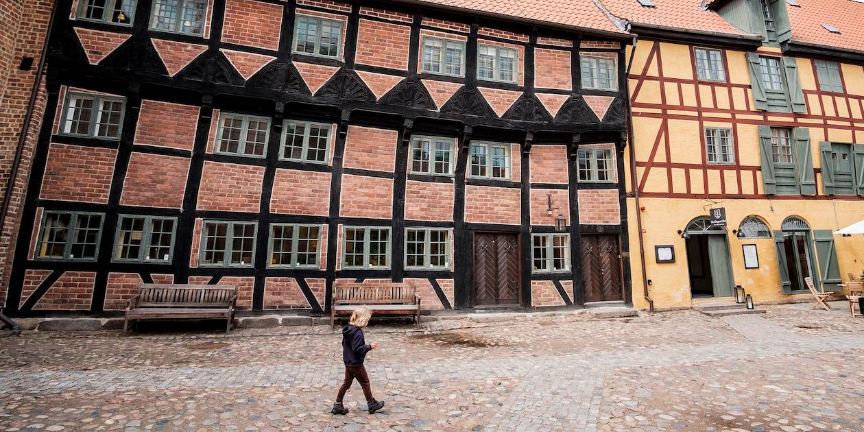 Maisons traditionnelles à colombages dans le centre d'Odense - Danemark