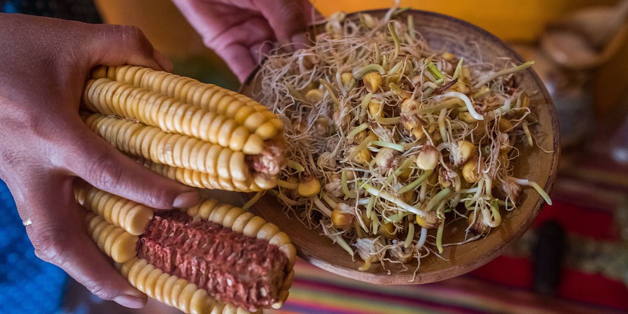 Ingrédients indispensables à la préparation de la chicha, bière à base de maïs - Bolivie
