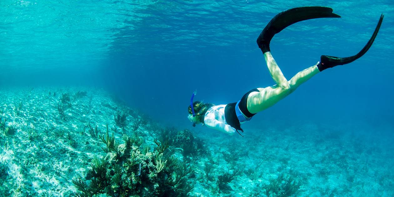 Snorkeling - Bahamas