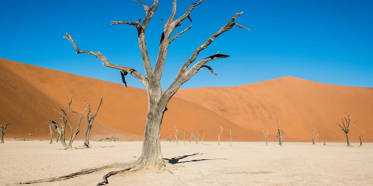 Désert de Sossusvlei - Désert du Namib - Namib Naukluft - Namibie