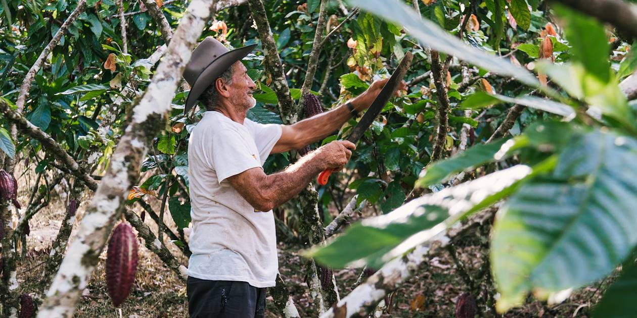 Rencontre avec la communauté Bribri et découverte de la fabrication du cacao - Costa Rica 