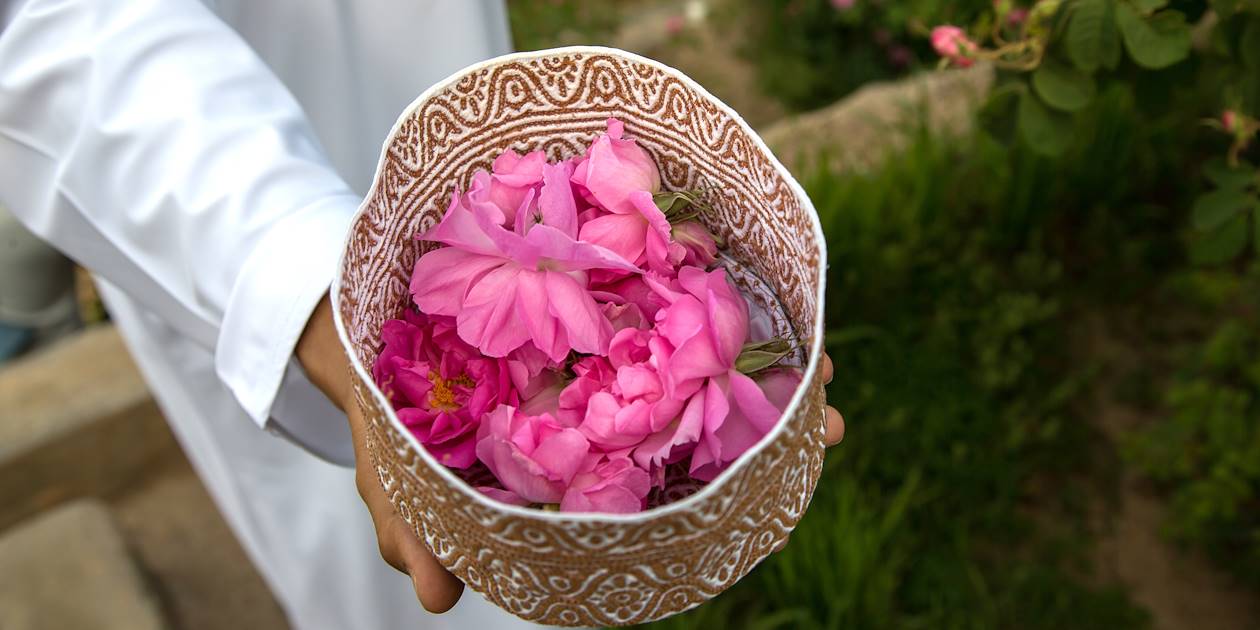 Pétales de roses de Jabal Al Akhdar - Oman