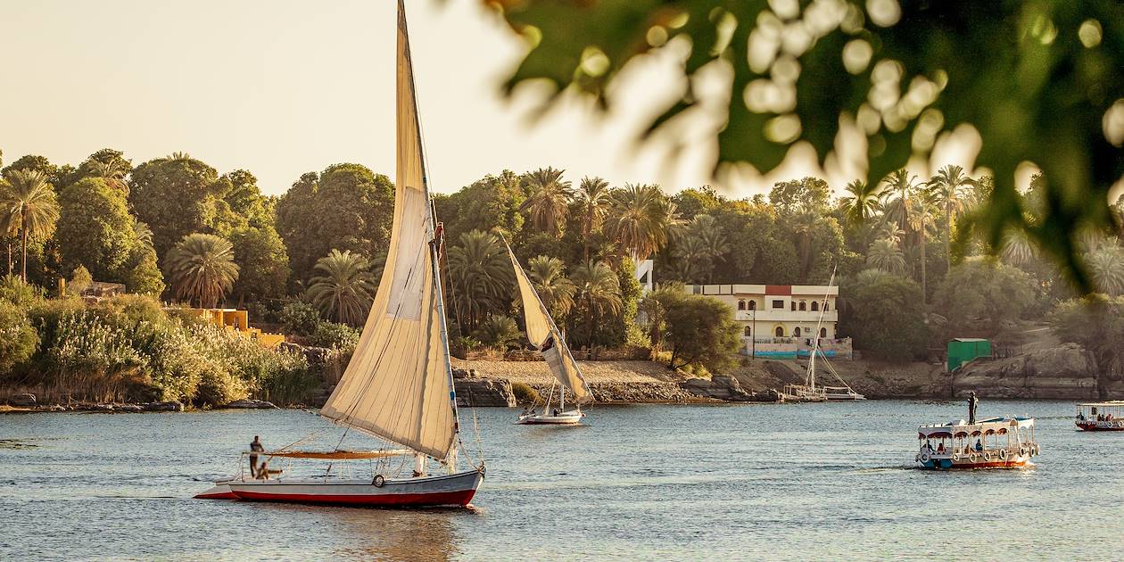 Felouque sur le Nil - Louxor - Egypte