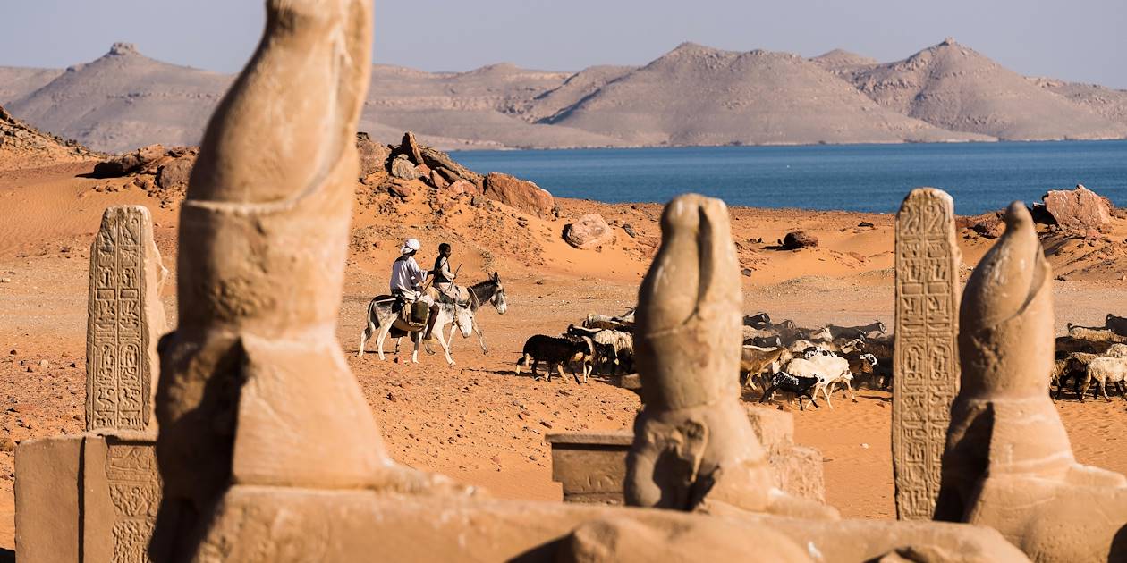 Paysan et son troupeau de chèvres près Temple de Ramsès II - Wadi Es-Seboua - Égypte