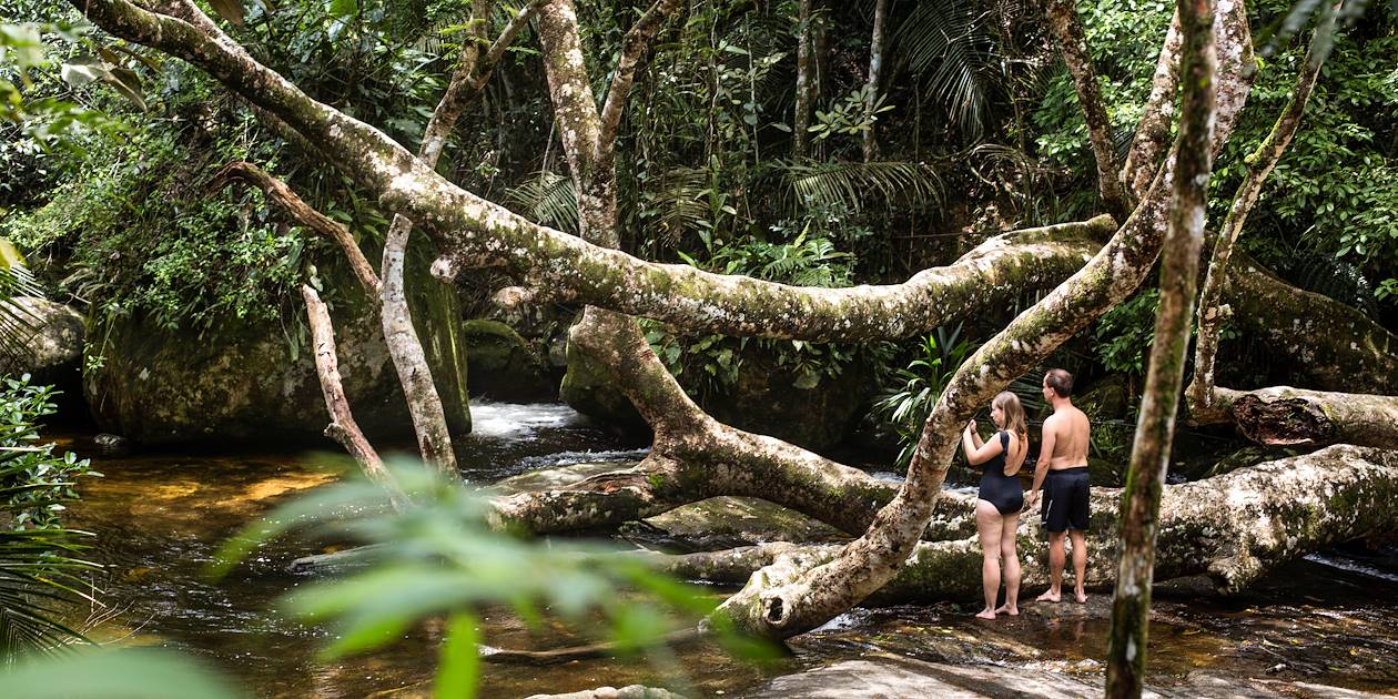 Découverte de la Forêt atlantique : baignade en rivière - Saco Do Mamangua - Parati - Brésil