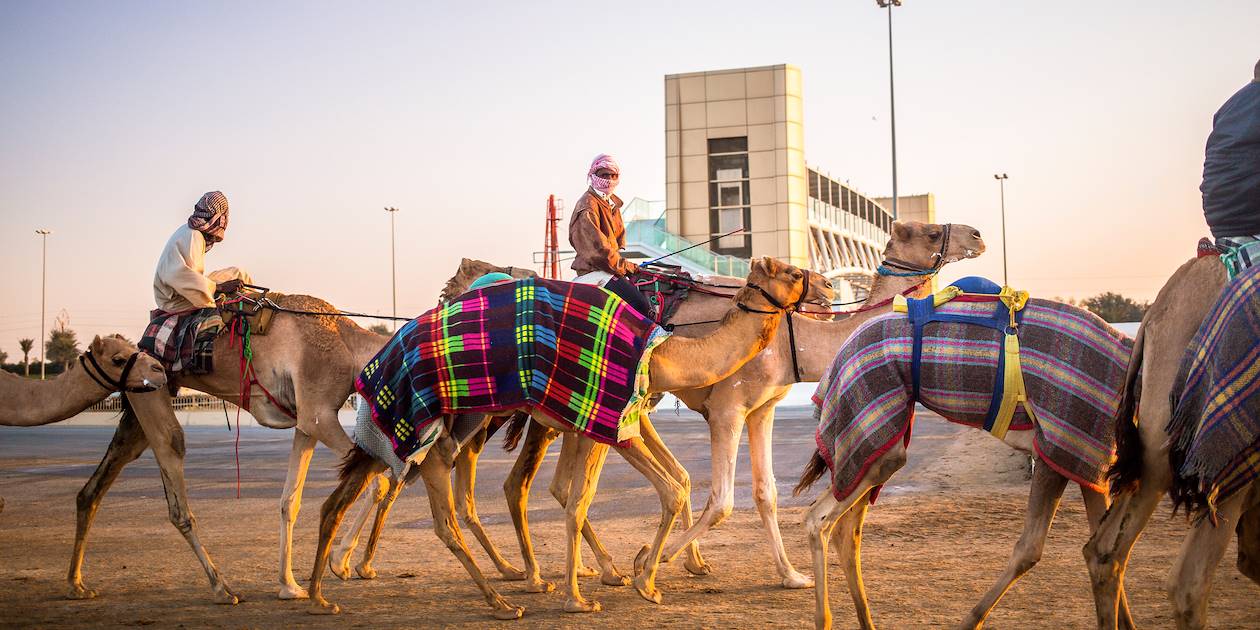 Dubaï Camel Racing Club :  entrainement des chameaux - Dubaï - Emirats Arabes Unis
