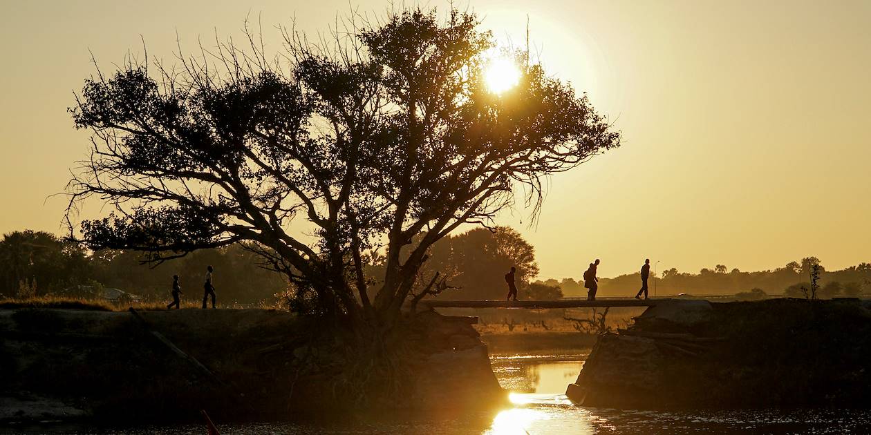 Coucher de soleil dans la réserve Moremi - Delta de l'Okavango - Botswana 
