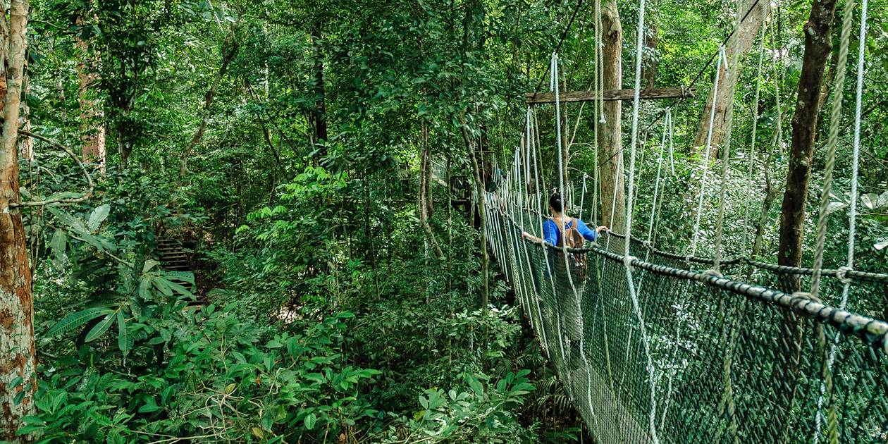 Pont suspendu dans le Parc National de Taman Negara - Malaisie