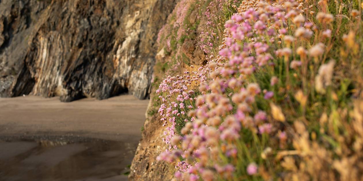 Parc national côtier du Pembrokeshire : plage de Whitesands - Pays de Galles - Royaume-Uni