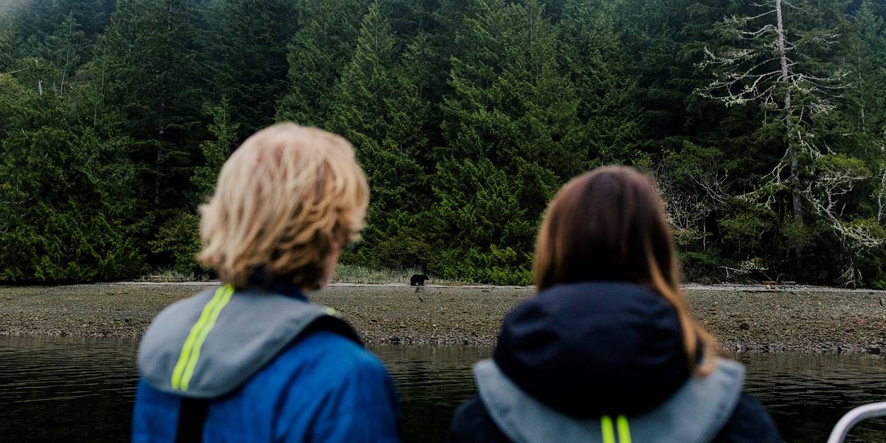 Observation de l'ours noir au large de Vancouver Island - Colombie Britannique - Canada