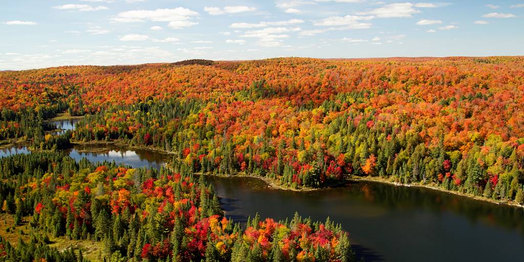 Le parc Algonquin Conseils voyage Québec et Ontario