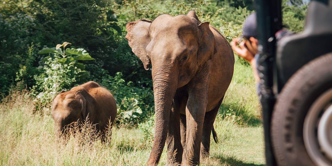  Safari en 4x4 dans le parc National d'Udawalawe - Udawalawa - Sri Lanka