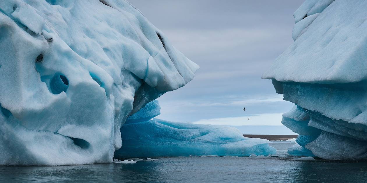 Les icebergs bleutés de la lagune Jökulsarlon - Skaftafell - Islande
