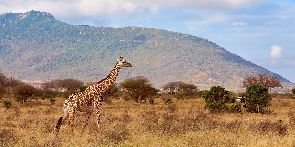 Le parc national de Tsavo | Conseils voyage Kenya