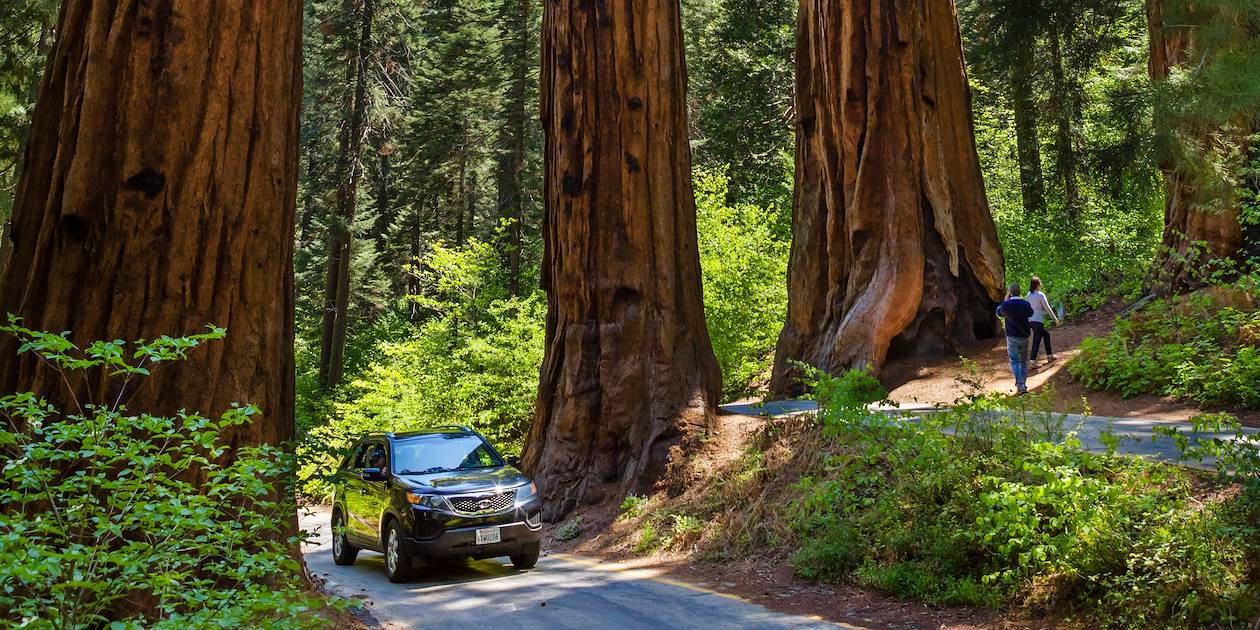 Parc national de Sequoia - Californie - Etats-Unis