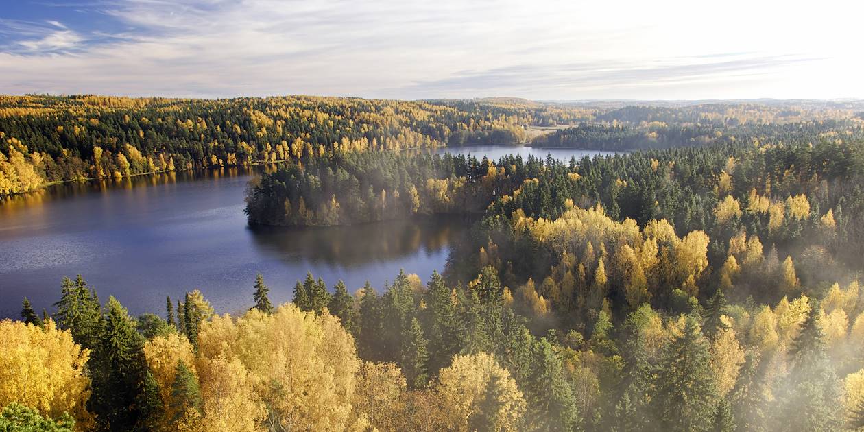 Taïga à l'automne - Laponie - Finlande