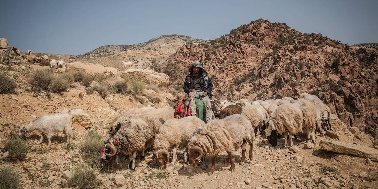  Randonnée sur le Wadi Dana Trail : rencontre avec un bédouin et son troupeau de moutons - Dana - Jordanie