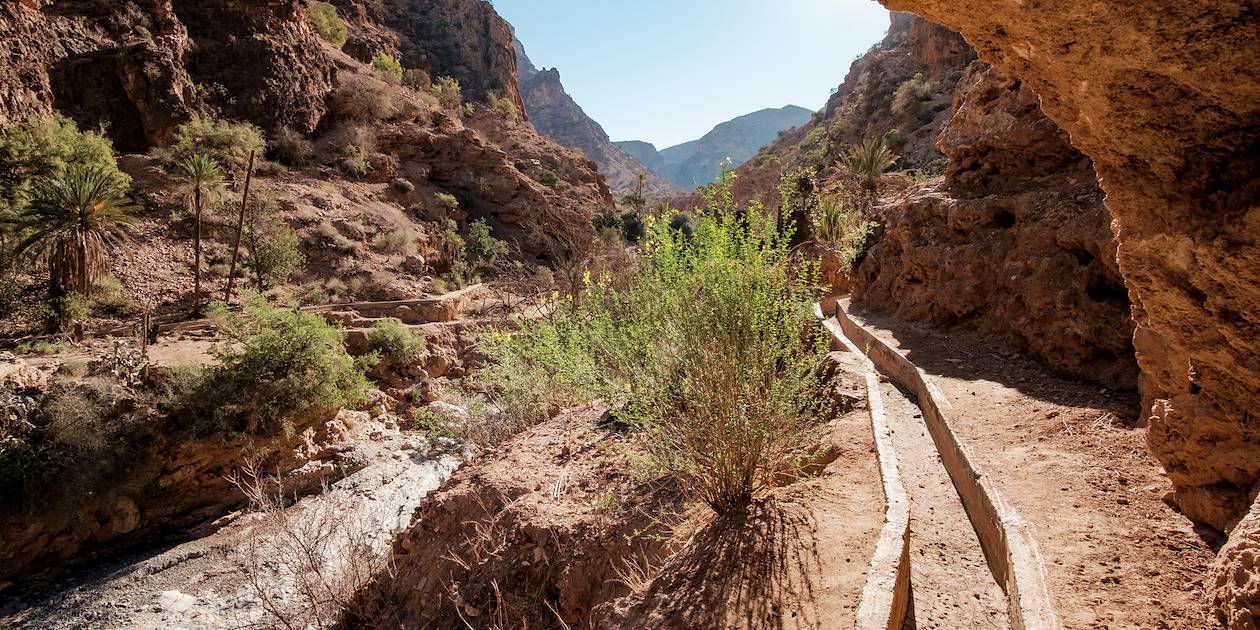 Vallée des Cédrats, le long des canaux d'irrigation - Maroc