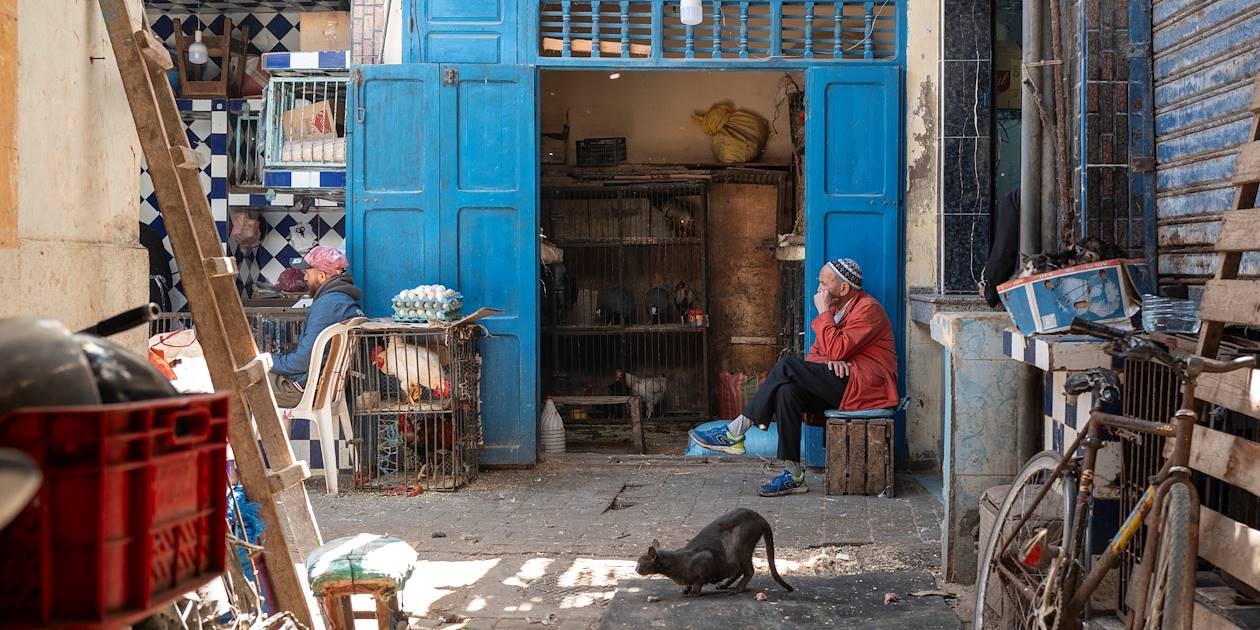 Marchand de volailles dans les rues d'Essaouira - Maroc