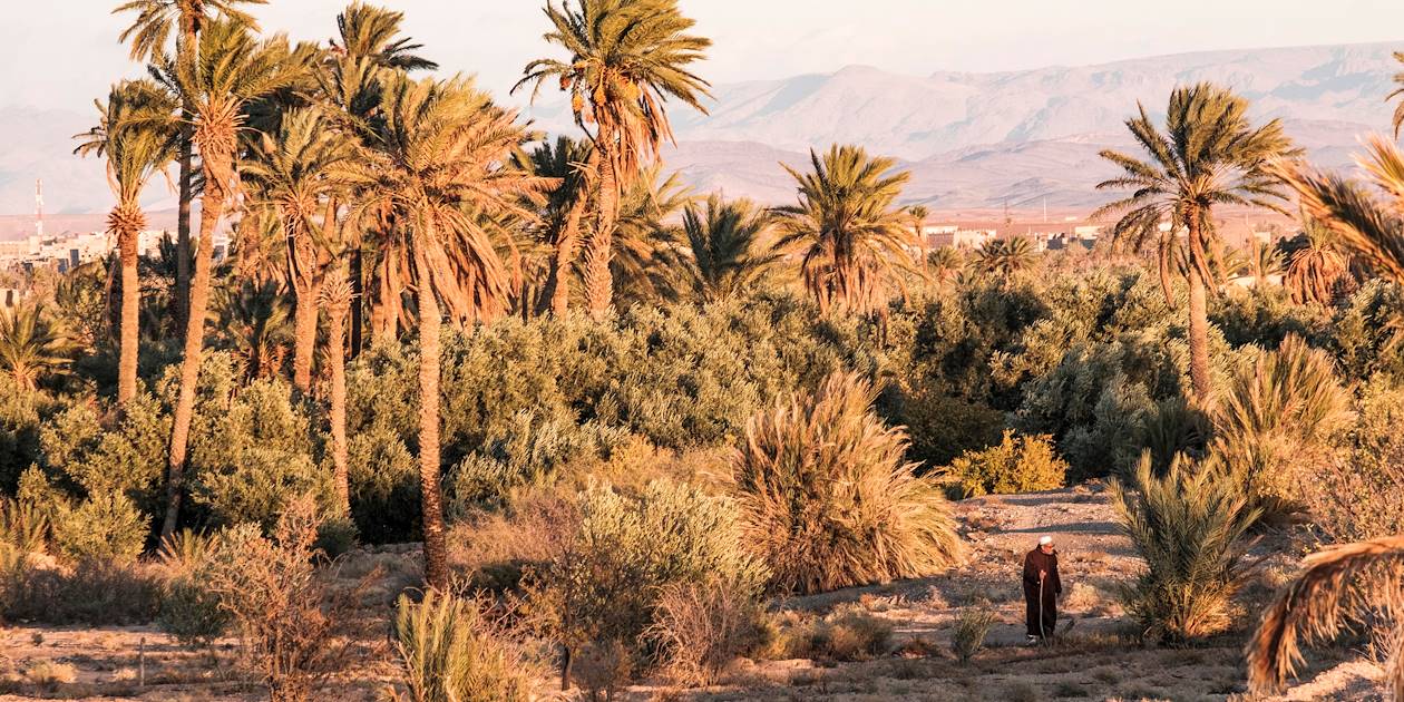 Homme dans la palmeraie de Skoura - Maroc