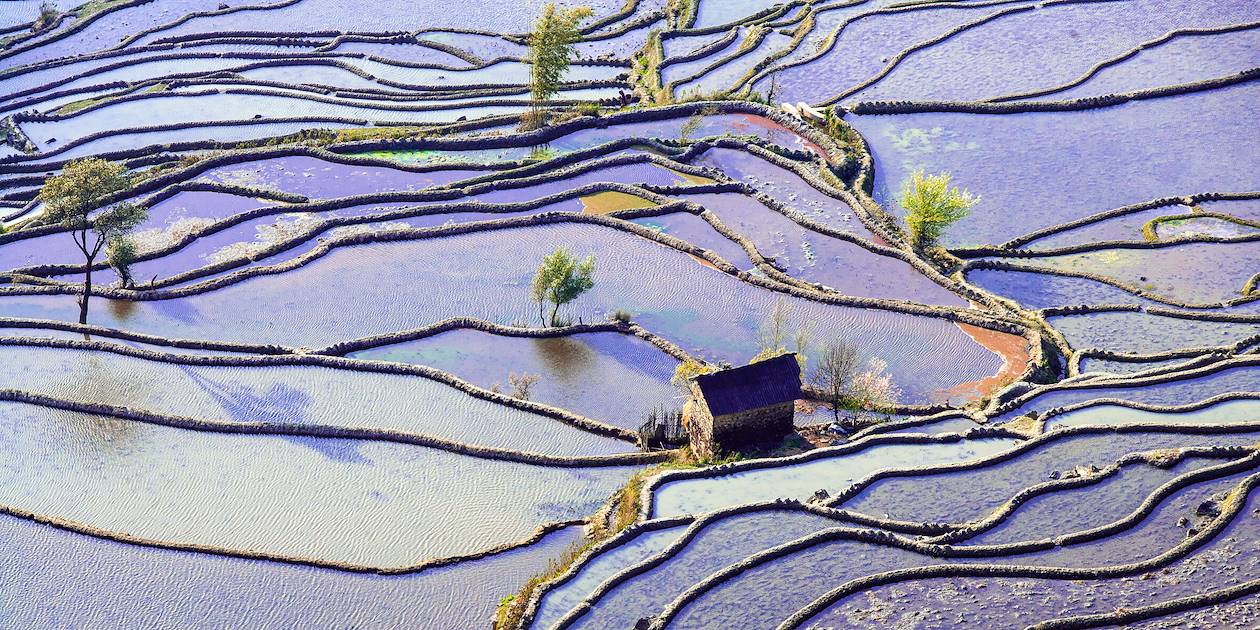 Rizières en terrasse des Hani de Honghe - Province du Yunnan - Chine
