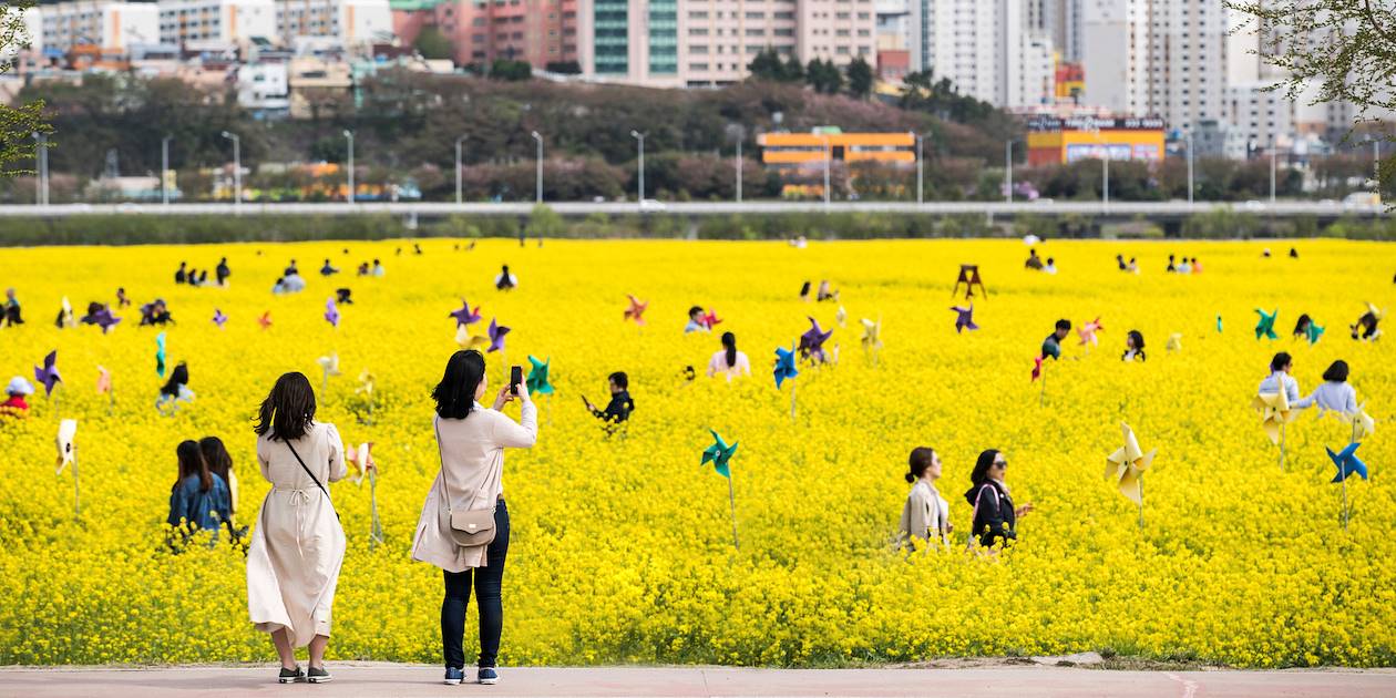 Daejeo Ecological Park à Busan - Corée du Sud