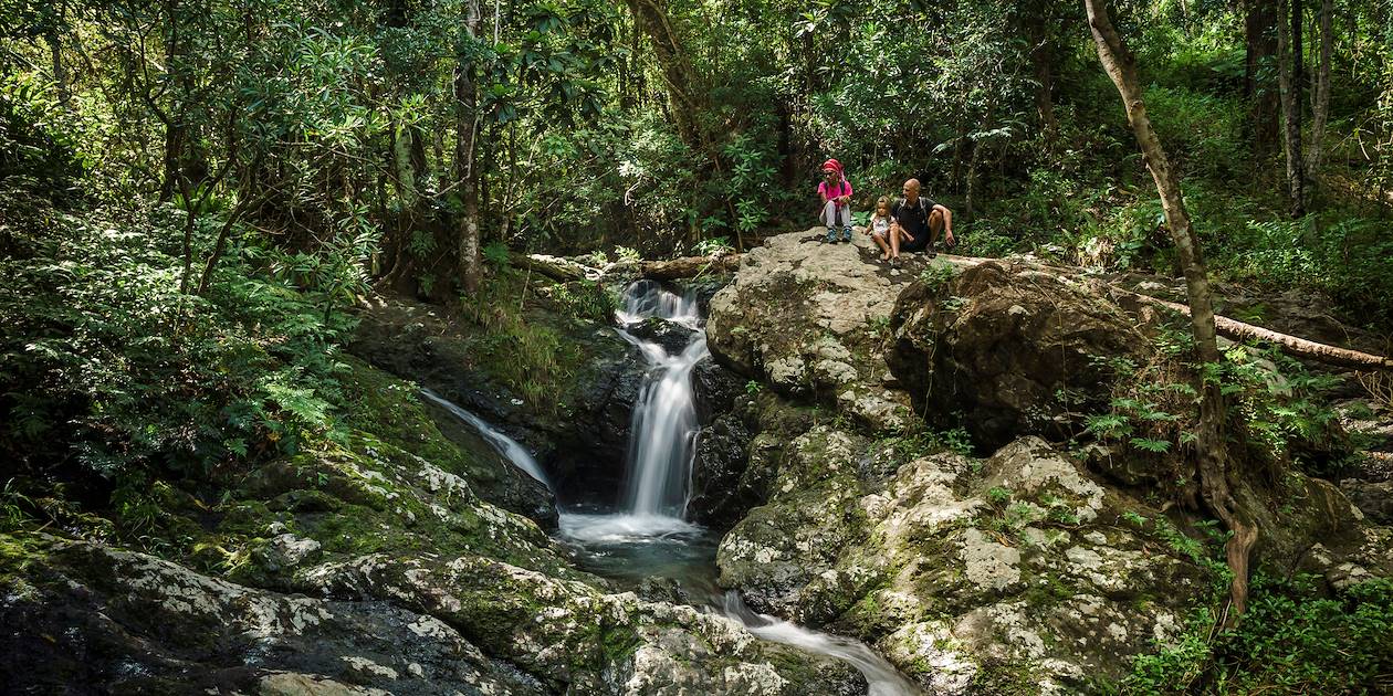 Randonnée en famille à la découverte de la forêt tropicale - Farine - Côte Ouest - Nouvelle Calédonie