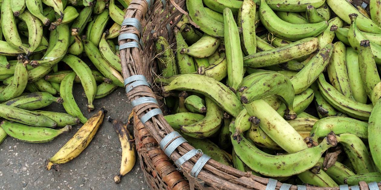 Bananes plantains sur le marché de Belize City - Belize