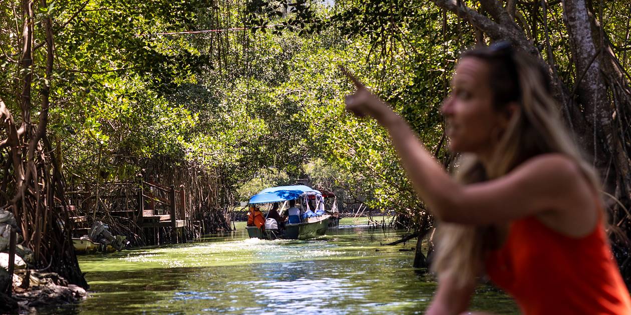 Découverte de la mangrove en bateau - Monkey River - Belize