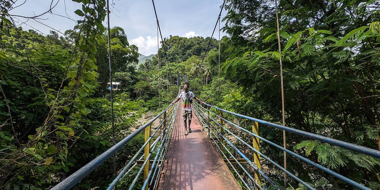 Blue Mountains - Jamaïque