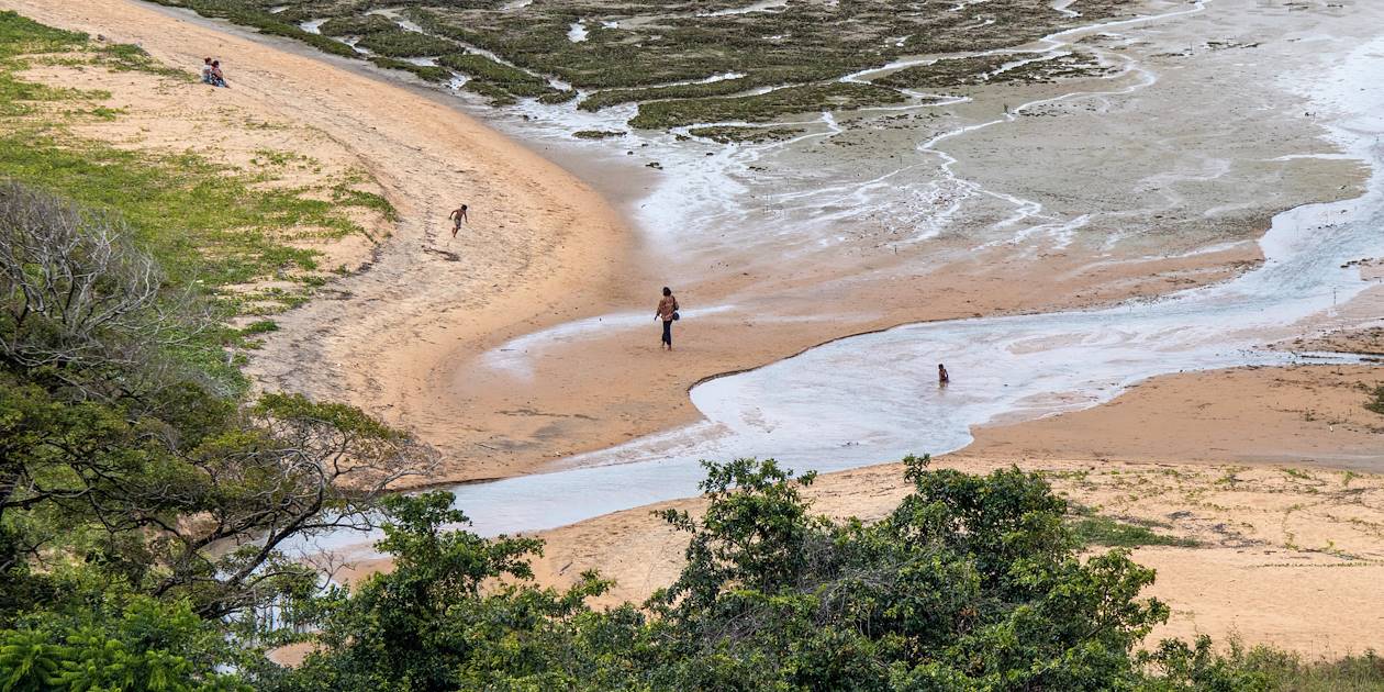 Scène de vie sur une plage - Guyane française