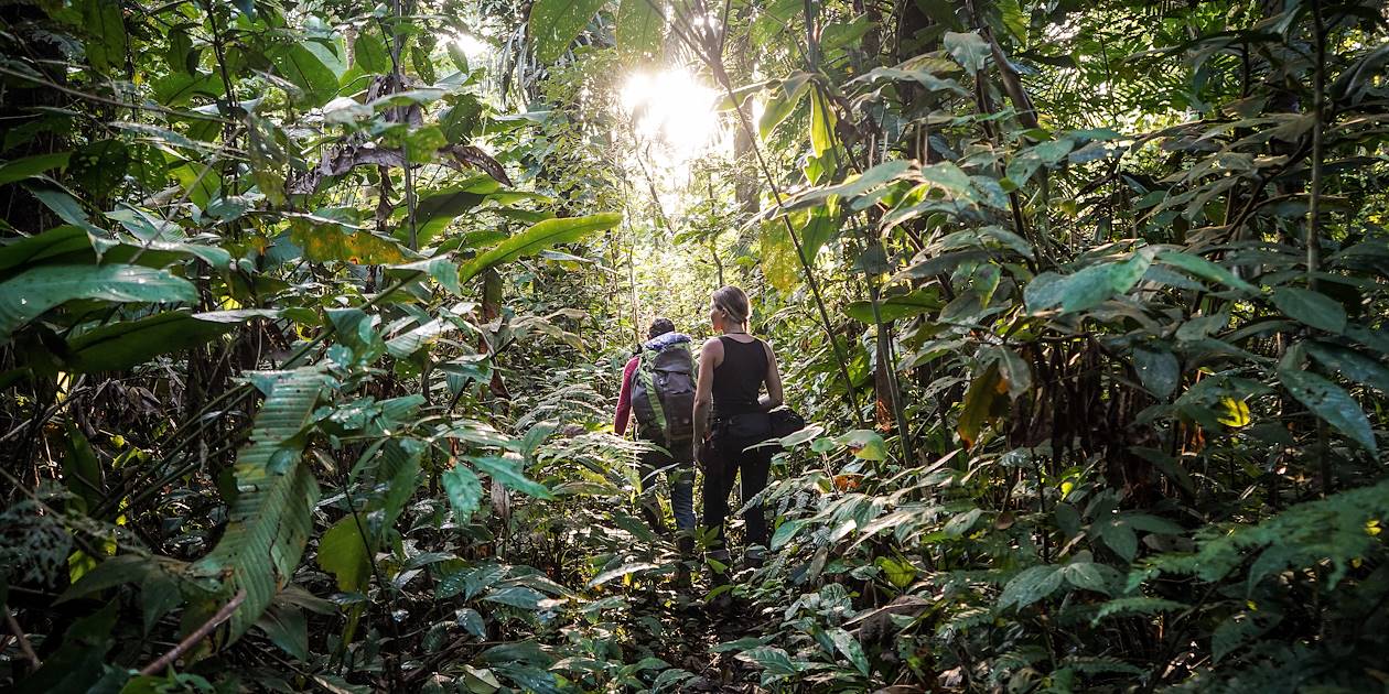 Randonnée la jungle amazonienne - Guyane