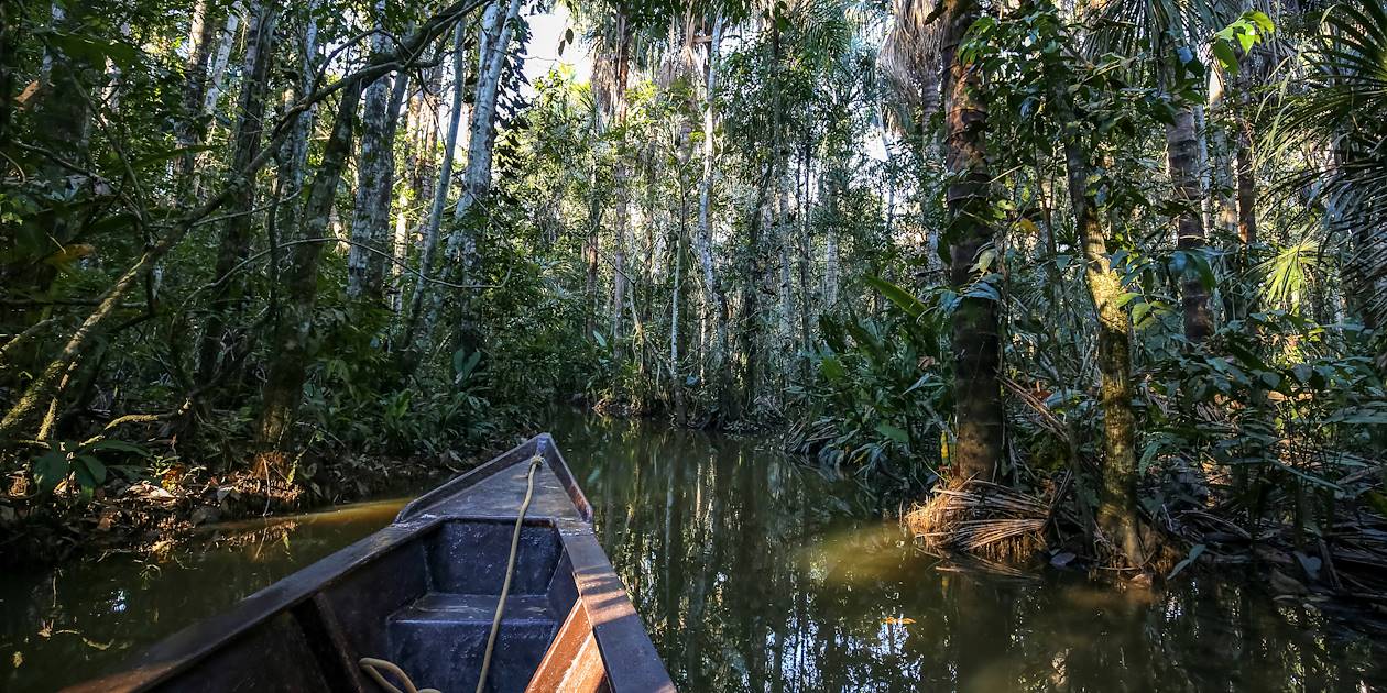 Descente en pirogue à travers la forêt tropicale - Guyane