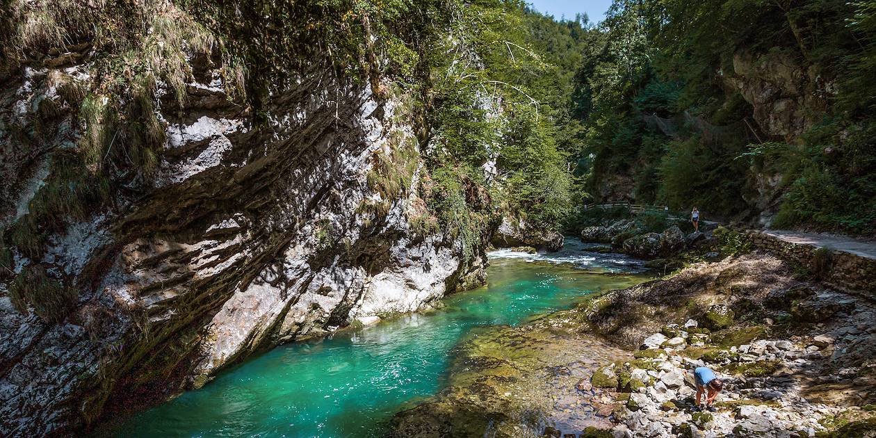 Gorges de Vintgar - Slovénie